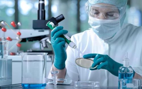 如何判斷绿巨人成人网址器的性能優劣
