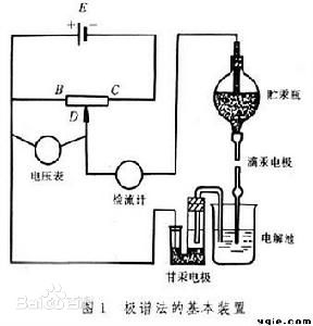绿巨人成人网址