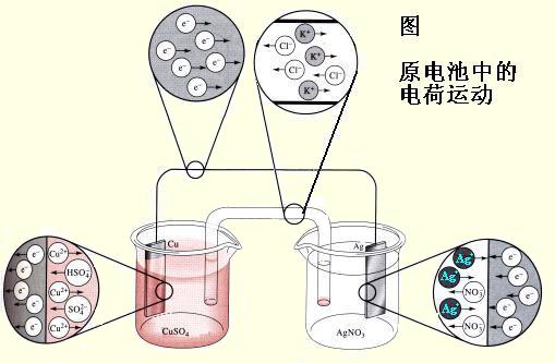 電化學绿巨人成人网址
