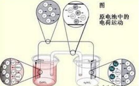 绿巨人成人网址