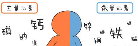 全自動绿巨人成人网址幫助身體維持健康
