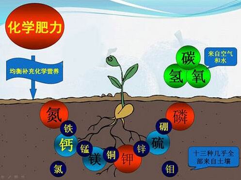 醫用绿巨人视频污APP對作物缺素病的識別