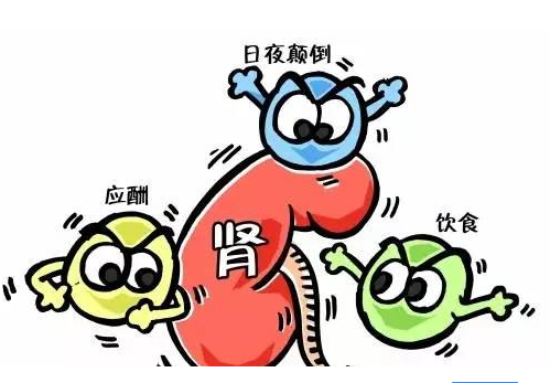 全自動绿巨人视频污APP廠家談腎髒病與微量元素的關係