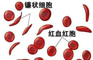 人體绿巨人成人网址廠家介紹檢測微量元素的儀器 人體绿巨人成人网址廠家介紹檢測微量元素的儀器