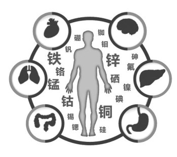 醫用绿巨人成人网址廠家談微量元素的重要性 醫用绿巨人成人网址廠家談微量元素的重要性