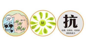 绿巨人视频污APP廠家分析哪些微量元素能防癌 绿巨人视频污APP廠家分析哪些微量元素能防癌