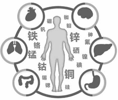 醫用绿巨人成人网址為绿巨人网站在线观看的健康提供了保障 醫用绿巨人成人网址為绿巨人网站在线观看的健康提供了保障