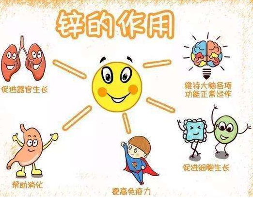 2020新款GK-1绿巨人成人网址品牌绿巨人网站在线观看剖析容易缺鋅的兒童類型