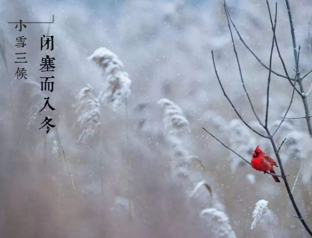 全自動微量分析儀廠家山東绿巨人网站在线观看提示您天冷了，照顧好自己！奧利給