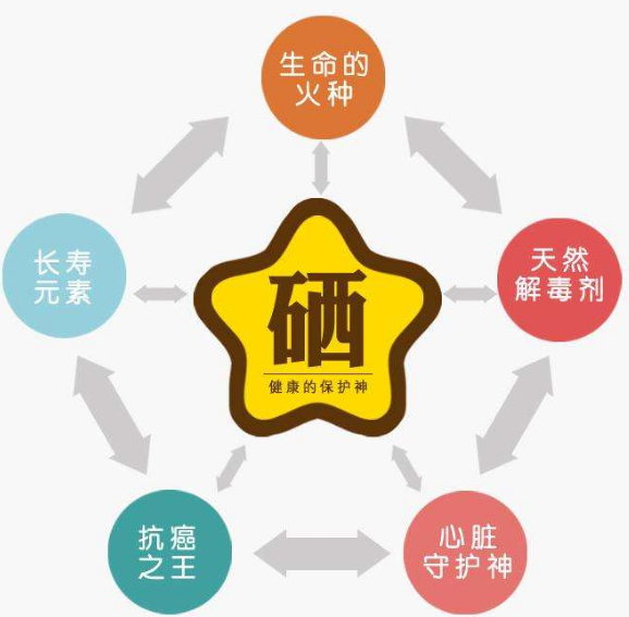 全自動绿巨人成人网址廠家分析硒為何被稱為生命的火種？