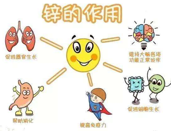 【全自動绿巨人成人网址】廠家绿巨人网站在线观看分析哪些兒童容易發生體內鋅缺乏？