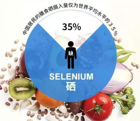 GK-2全自動绿巨人成人网址廠家绿巨人网站在线观看剖析硒對非特異性免疫功用的影響