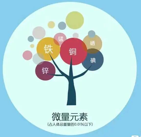 人體绿巨人成人网址廠家哪家好