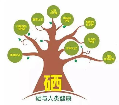 鈣鐵鋅硒檢測儀廠家提示什麽叫有機硒和無機硒？科學補硒看看吧