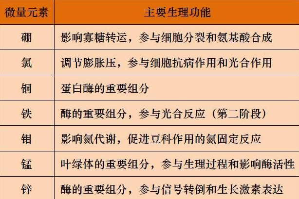 山東聊城全自動血鉛檢測儀一體機：微量元素的主要作用8.20